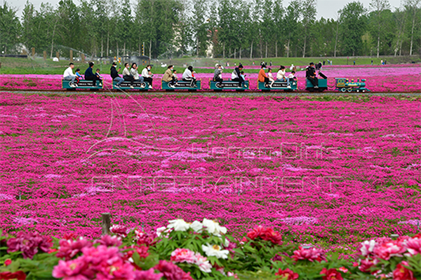 Железнодорожный поезд на продажу2