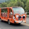 Экскурсионный автомобиль Fox